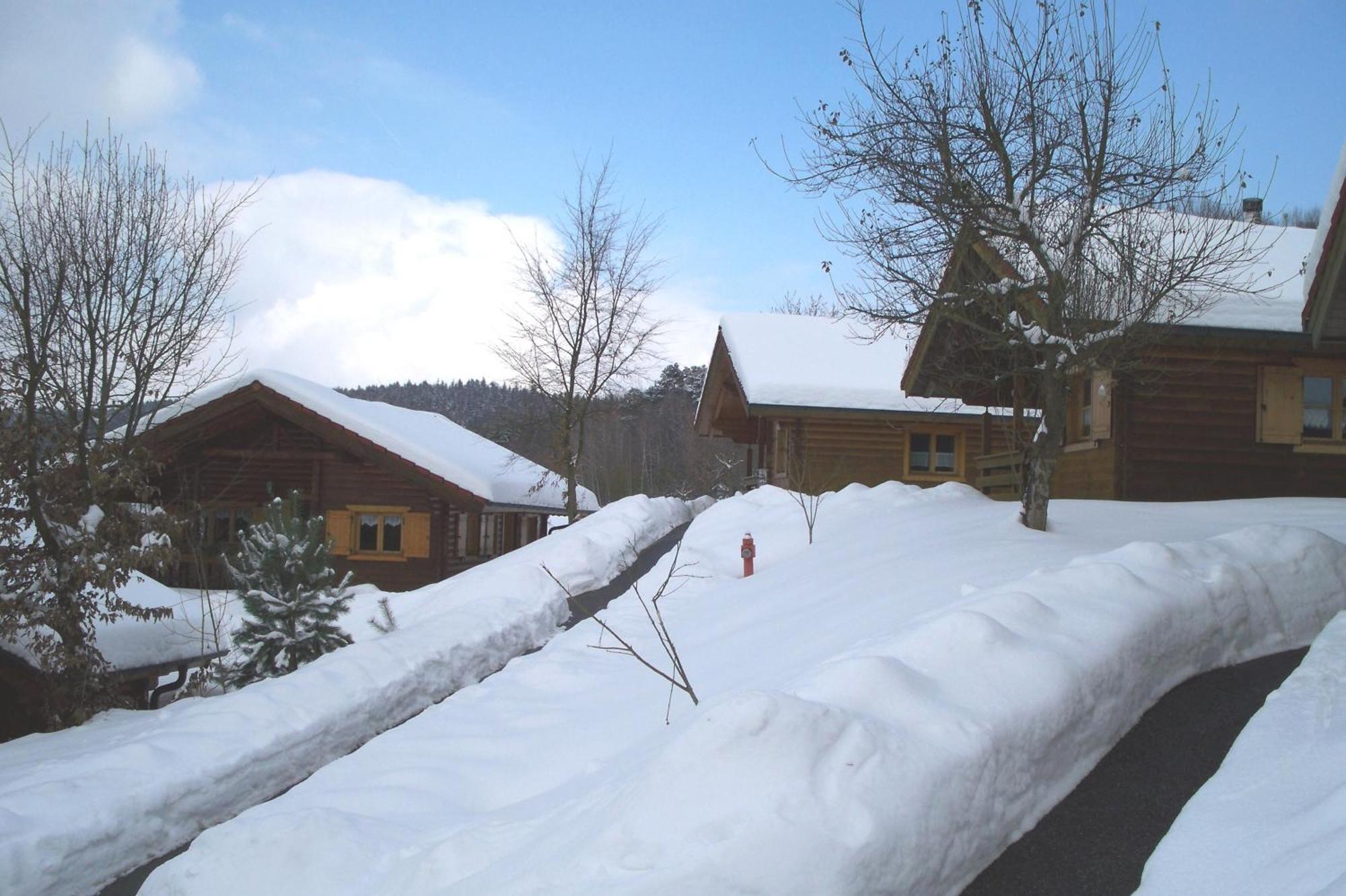 Villa Blockhaus Hedwig Stamsried Exterior foto