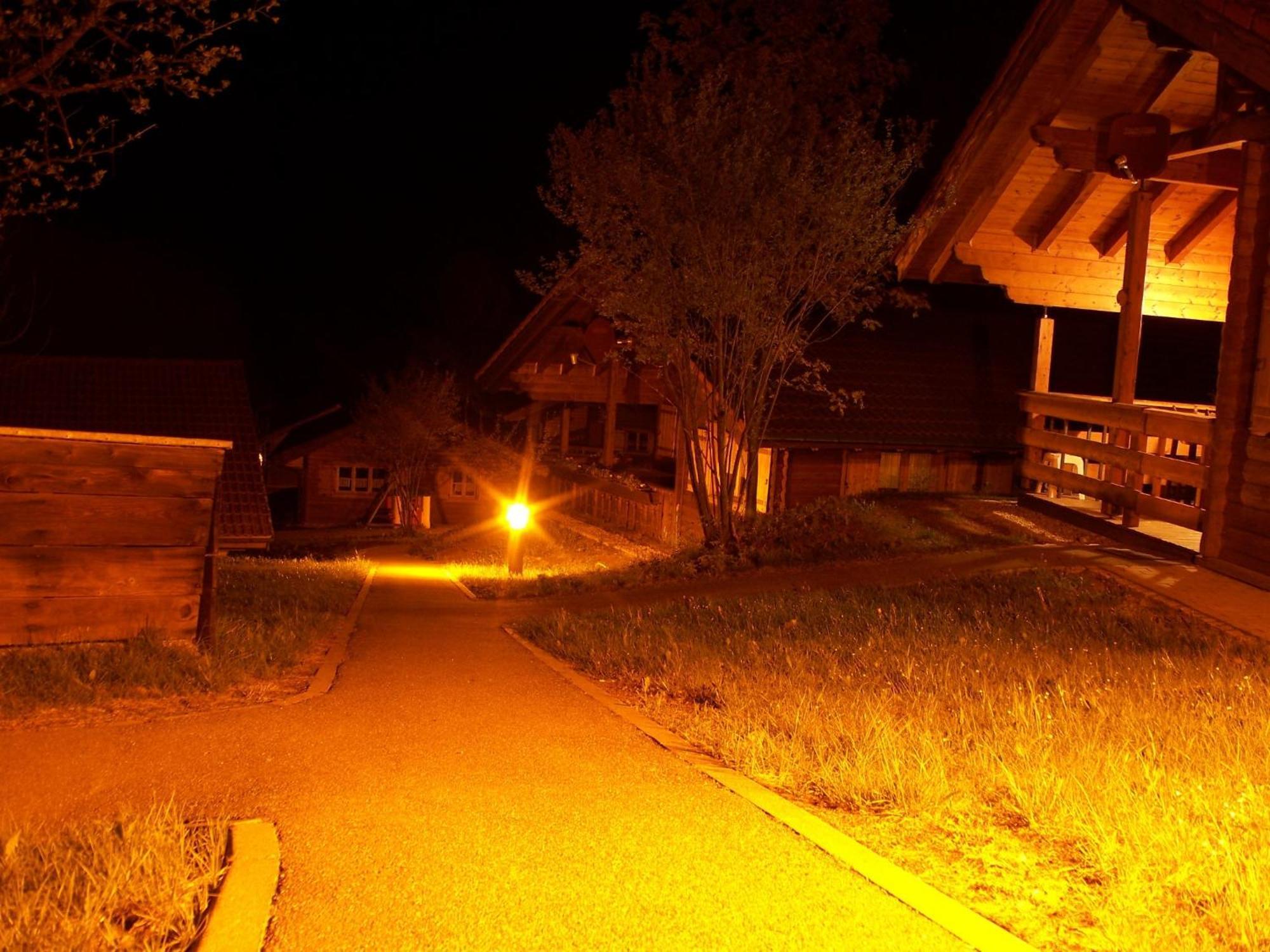 Villa Blockhaus Hedwig Stamsried Exterior foto